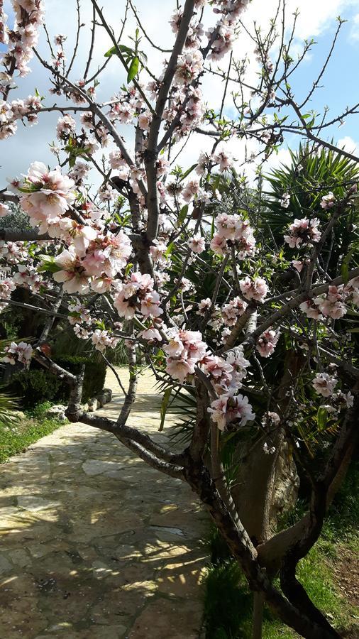 Casale Rocca Russa B&B Villaggio Mose  Ngoại thất bức ảnh